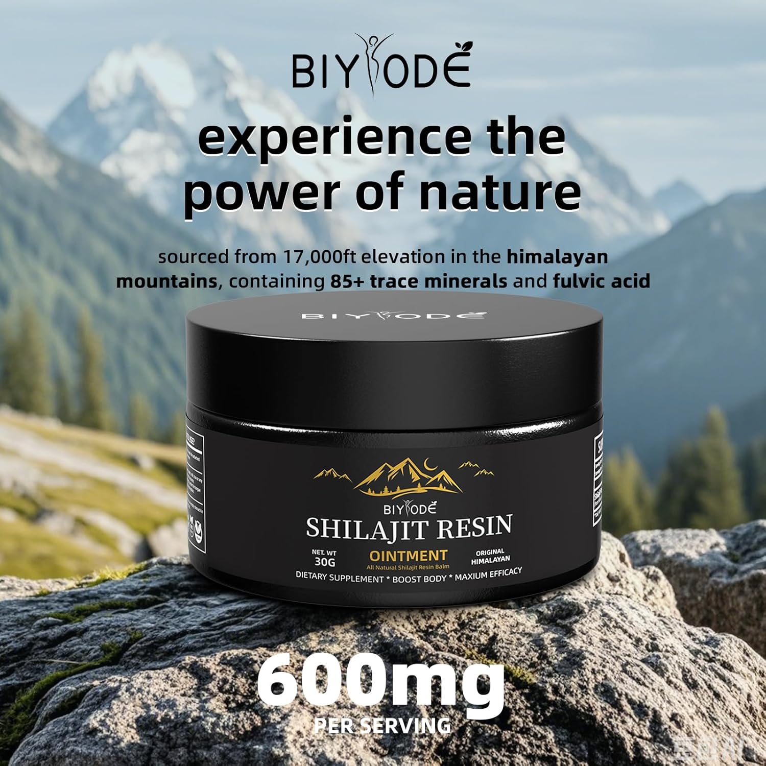 Pure Biyode Himaliyan Shilajit Resin 30G